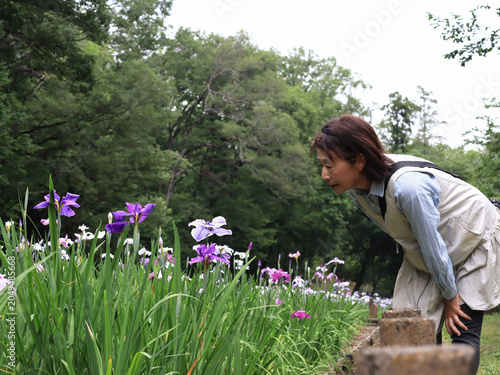 花菖蒲を観賞する女性