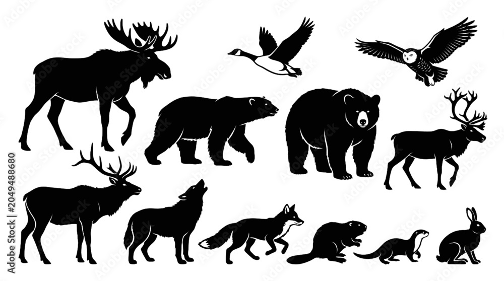 Fototapeta premium Collection of Canadian wildlife animals featuring forest mammals birds and iconic native species vector illustration set