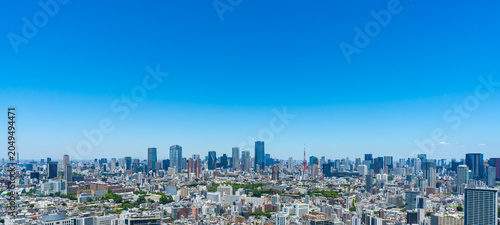 Slika na platnu Tokyo skyline with blue sky and copy space in Japan