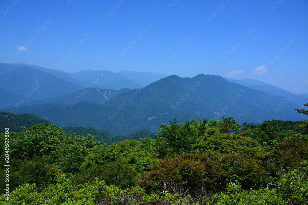 Fototapeta premium 山梨県 身延町の身延山久遠寺