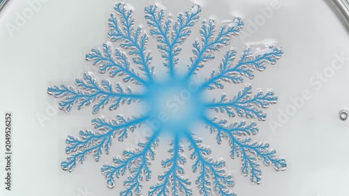 Intricate blue fractal pattern resembling snowflake.