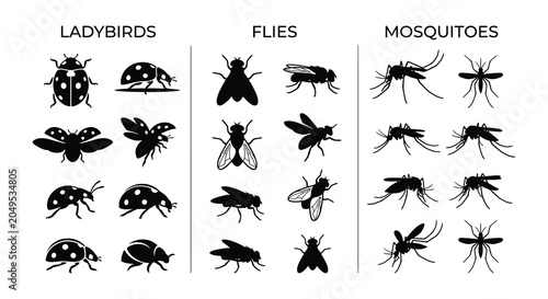 Foto Insect silhouettes Ladybird fly and mosquito vector illustration