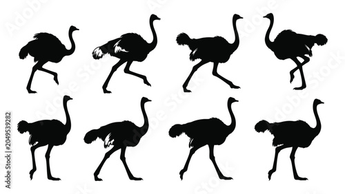 Foto Collection Of Black Ostrich Silhouettes In Various Poses Against A White Backgro