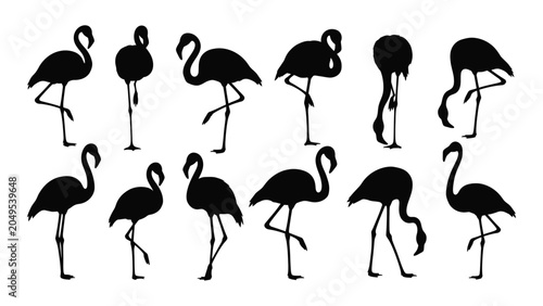 Konstfotografi Collection of flamingo silhouettes in various poses against a white background a