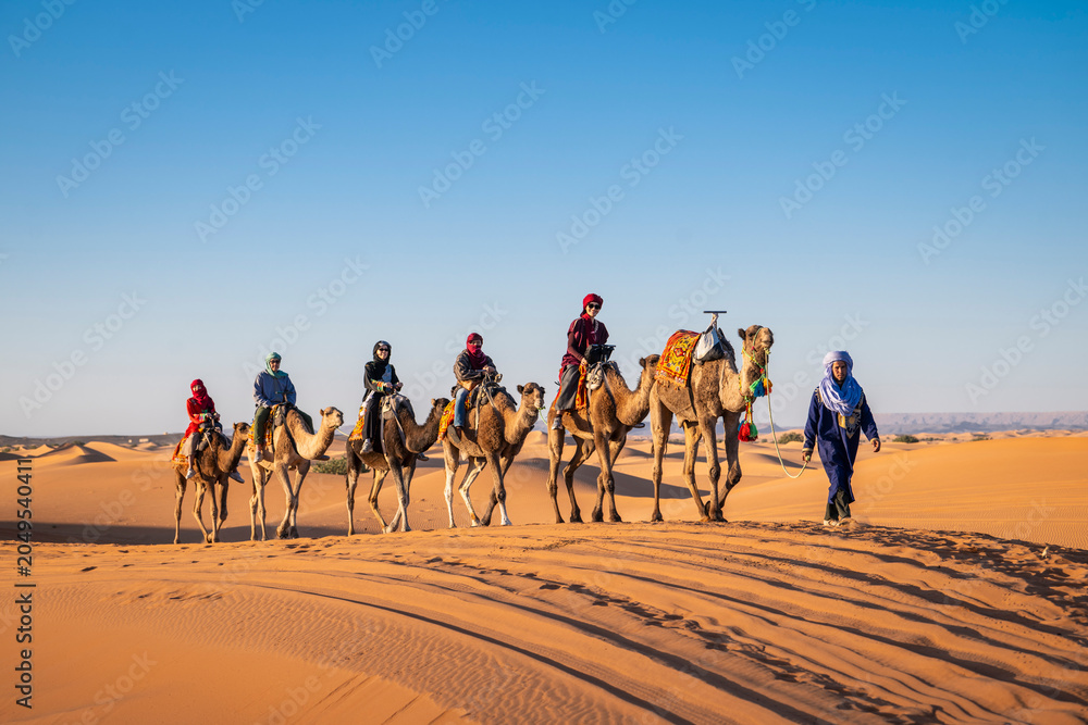 © Cavan Images - group of friends enjoying a camel ride in the Sahara