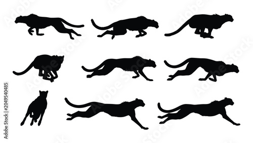Photography Cheetah running poses in sequence a series of black animal silhouettes cheetahs