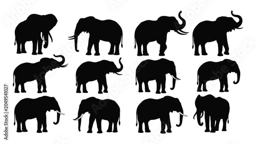 Canvas Print Collection of african elephant silhouettes in various poses against a white back