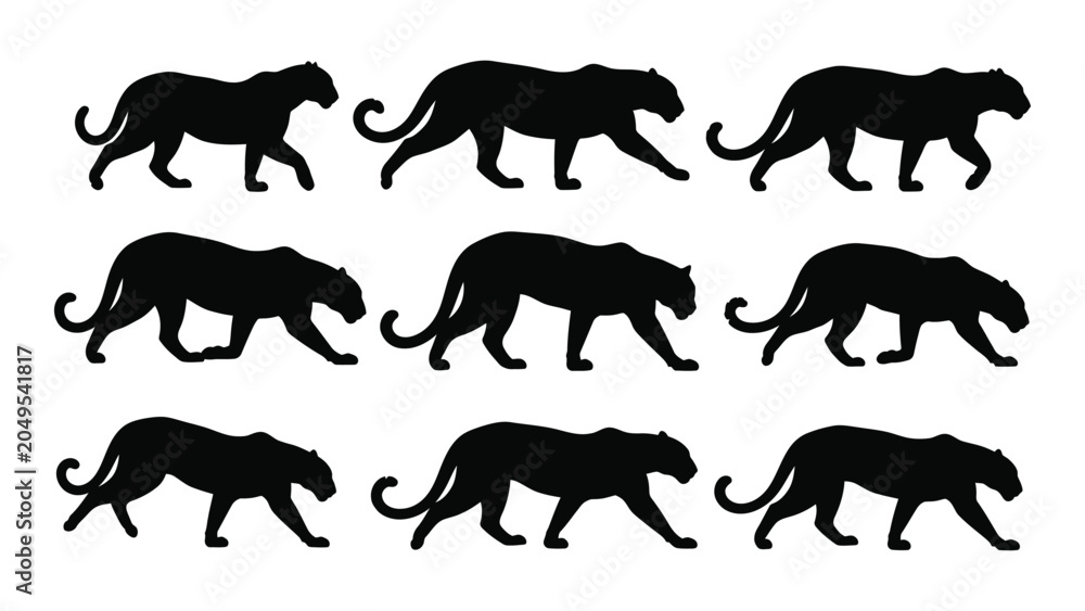 Obraz premium A Collection Of Black Panther Silhouettes In Various Walking Poses A Graphic Silhouette big cat feline predator wildlife animal vector
