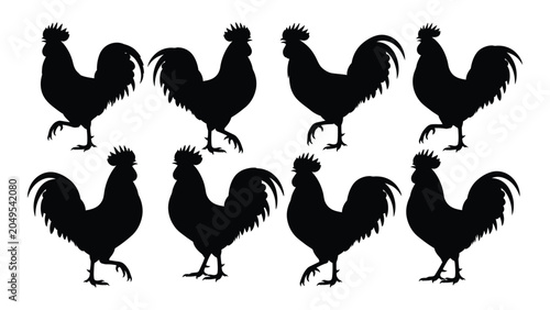 Photos Collection of rooster silhouettes in varying poses against a white background si