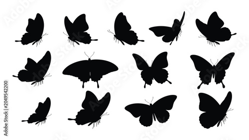 Foto Collection Of Black Butterfly Silhouettes With Detailed Wing Shapes And Antennae
