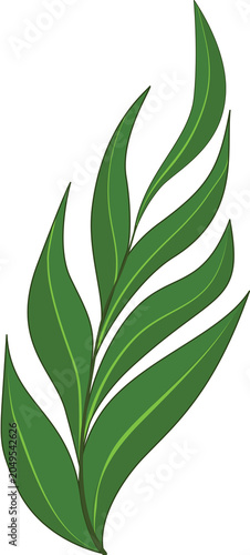 A stylized green leaf emblem with flowing lines creates a dynamic and natural graphic design, evoking growth and organic beauty.