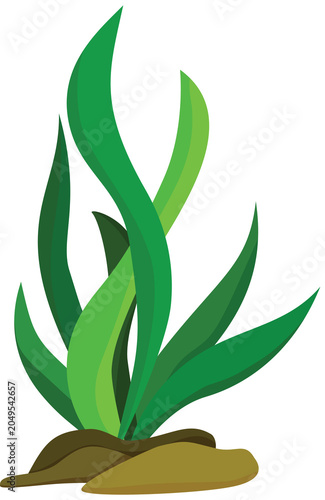 Illustration of lush green seaweed growing from the seabed.