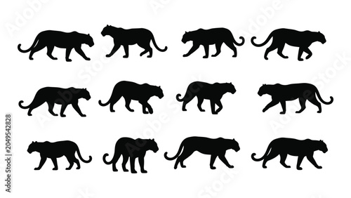 Collection of panther silhouettes in various walking poses against a white background silhouette panthers big cat feline felines predator predators