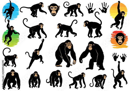 Collection of diverse monkey and ape illustrations in various poses, isolated on a white background.