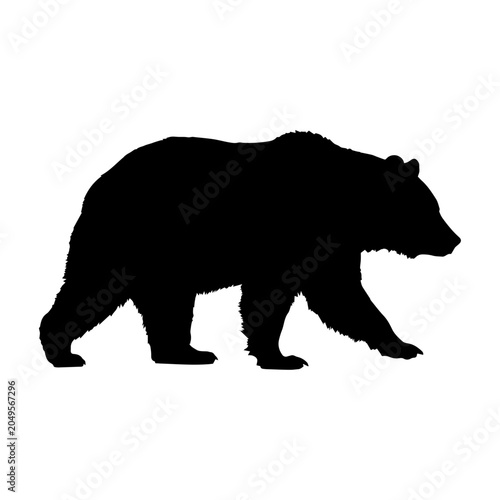 Bear Silhouette Vector Design | Wild Grizzly Bear SVG Illustration