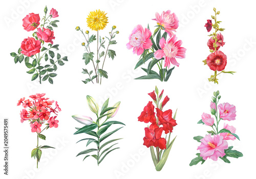 Tableau sur toile Watercolor set of rose, chrysanthemum, peony, mallow, phlox, lily, gladiolus and hibiscus flowers with green leaves