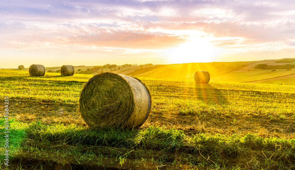 Obraz premium amazing hay stack summer field with golden hay grass on the ground and round stacks on foreground and amazing sunset green valley landscape on background