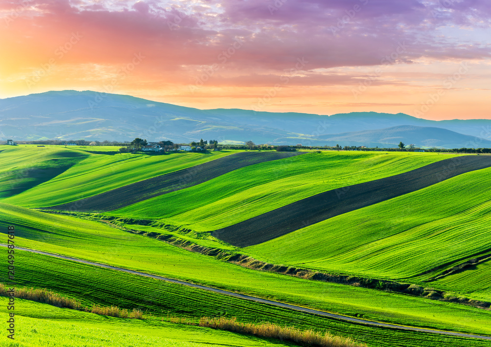 Obraz premium scenic green field with young salad grass on spring hills and beautiful mountains with nice evening sky on panoramic rural landscape