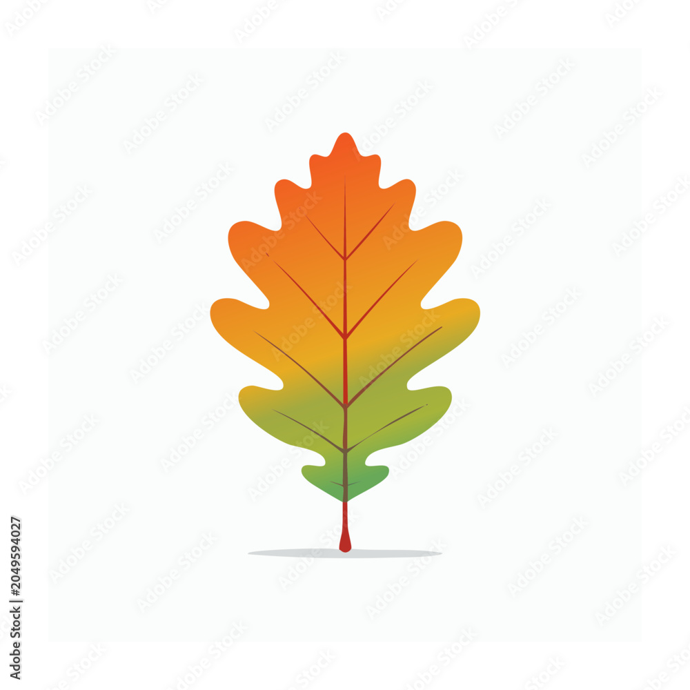 Fototapeta premium Autumn oak leaf with gradient colors on white background