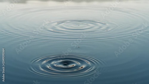 The video depicts a calm body of water with a focus on ripples creating concentric circles across the surface