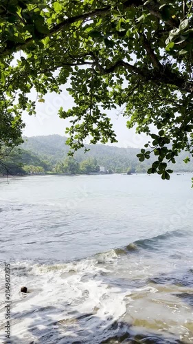 Peaceful Tropical Island Beach Scene with Hanging Tree Leaves and Sea Foam