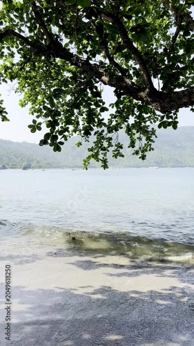 Scenic Seascape of Turquoise Ocean Water and Lush Forested Mountain from a Shaded Shore