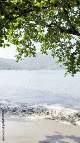 Tropical Beach Bay Framed by Green Tree Leaves with Gentle Rolling Waves