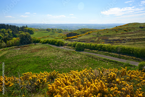 Foto Bright gorse blooms frame Scottish countryside.