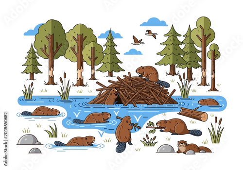 Fotografie Beavers in a pond ecosystem.