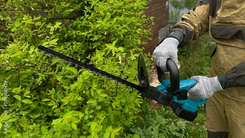 Hands in protective work gloves using a hedge trimmer to shape bushes and a green hedge. Gardening, landscape maintenance, yard work, outdoor care and professional landscaping.