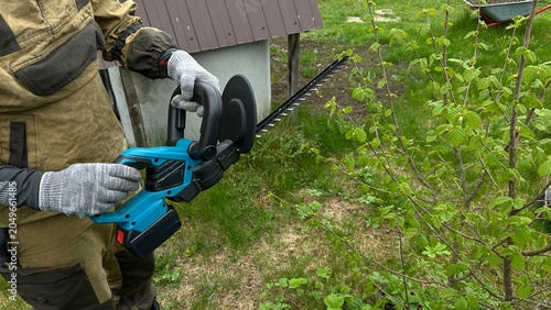 Hands in protective work gloves using a hedge trimmer to shape bushes and a green hedge. Gardening, landscape maintenance, yard work, outdoor care and professional landscaping.