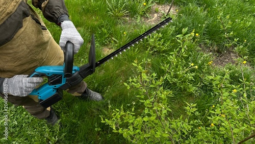 Hands in protective work gloves using a hedge trimmer to shape bushes and a green hedge. Gardening, landscape maintenance, yard work, outdoor care and professional landscaping.