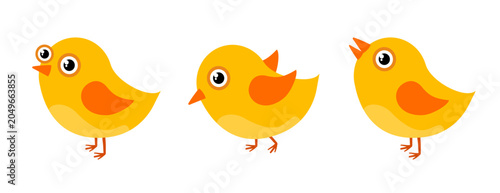 Fotografie Cute yellow baby birds set, cartoon chicks characters