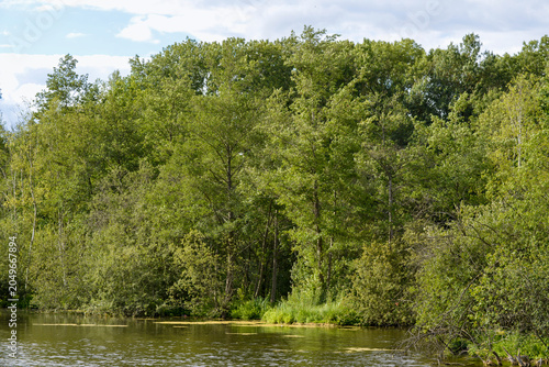 Marais de Misery
