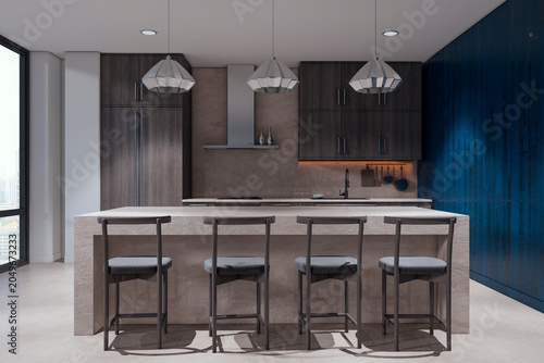 Modern contemporary kitchen interior with minimalist island, dark cabinets, p...