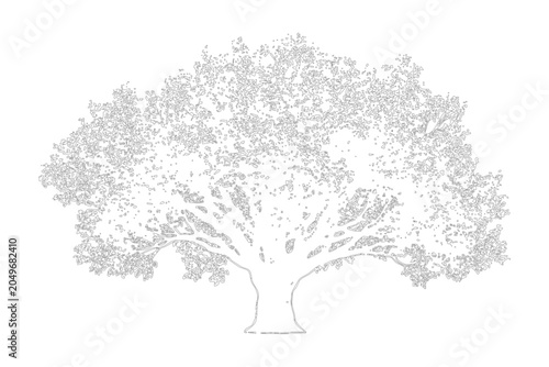 Bild auf Leinwand Detailed handdrawn sketch of a large sprawling oak tree