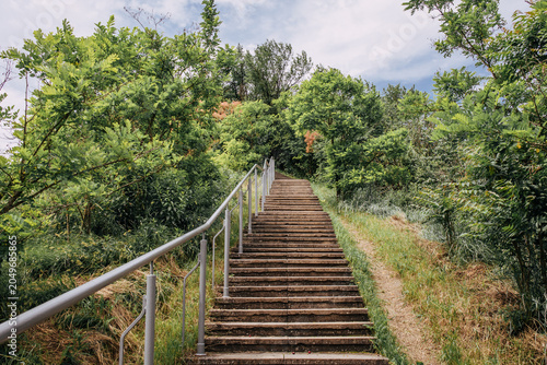 A staircase with handrails leading up a green hill, surrounded by trees, grass, and natural vegetation. The stairs create a scenic path through nature, offering a peaceful and inviting view.