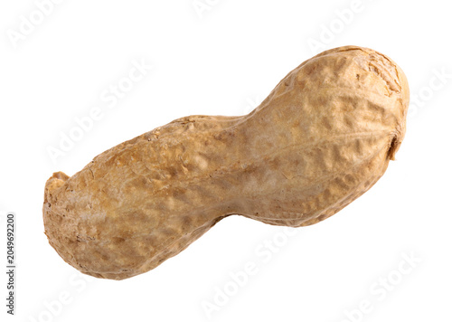 Nocciolina sus fondo bianco