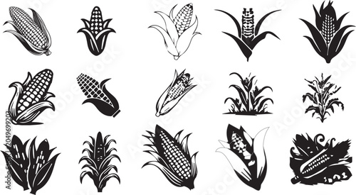 Obraz na plátne Black and white corn illustrations on white background