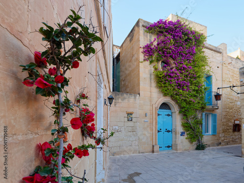 Konstfotografi Picturesque traditional house facade decorated with blooming purple and red boug