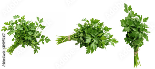 Foto A Set of fresh parsley bunches isolated on white background, organic herb leaves