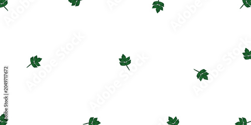 Seamless pattern of green spinach leaves on white background for healthy food packaging and digital paper
