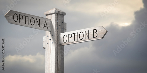Bild auf Leinwand Options A or B - Wooden Signpost with Two Arrows