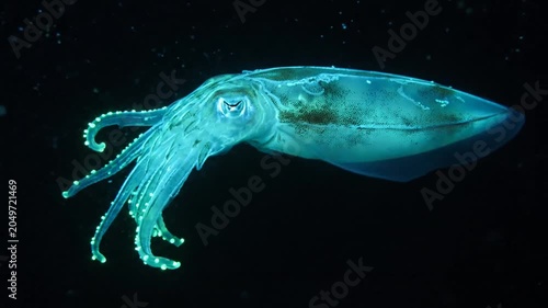 A mesmerizing neon green squid swimming in the deep dark ocean with tiny air bubbles, showcasing bioluminescence
