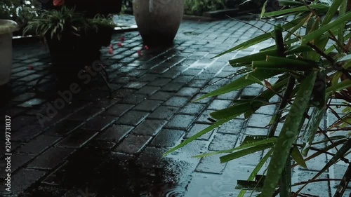 Peaceful heavy rain in backyard garden