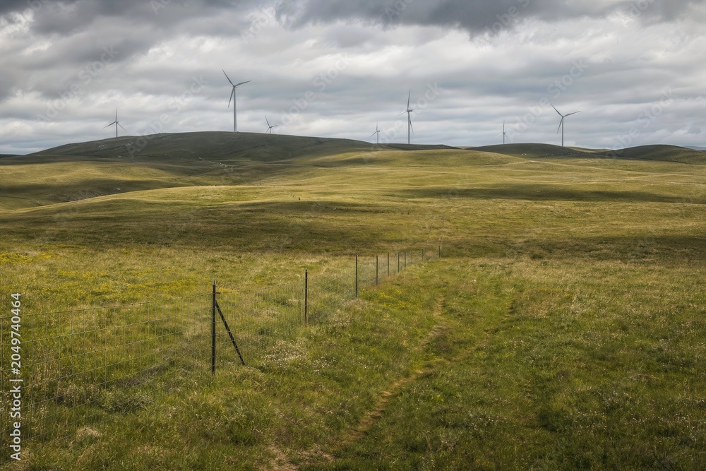 Fototapeta premium Grassland Wind Farm