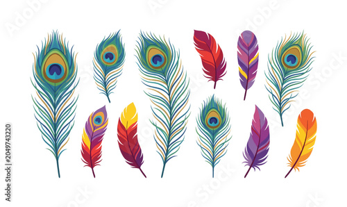 Collection of Colorful Peacock Feathers in Various Shapes.