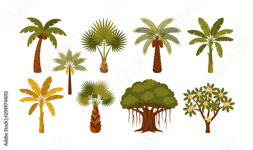 Collection of various tropical tree types.