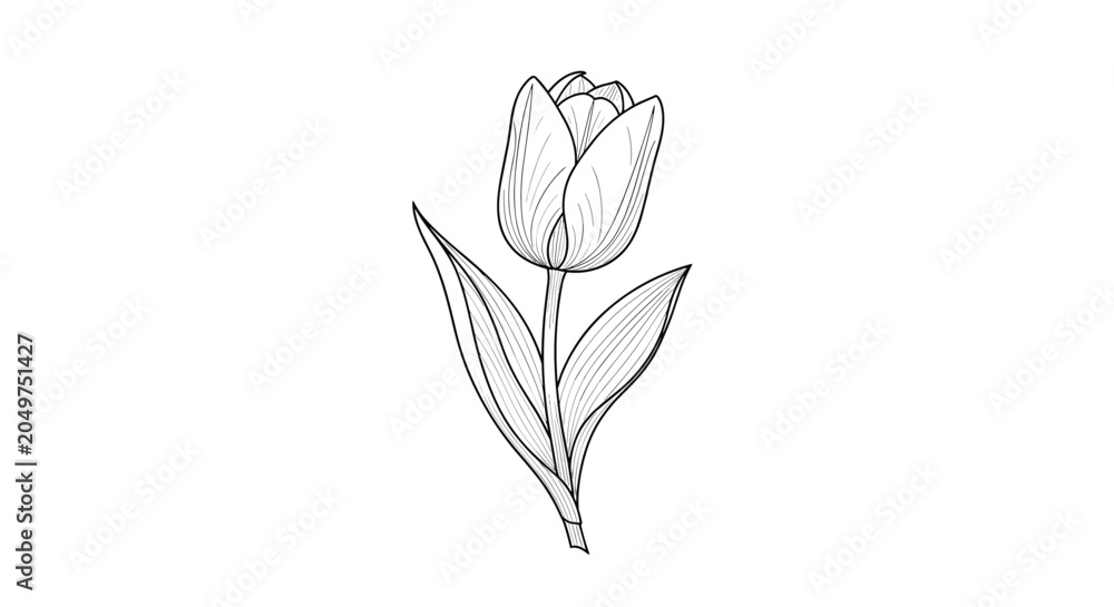 Obraz premium Detailed black and white engraving style illustration of a single tulip flower on a long stem with two leaves.
