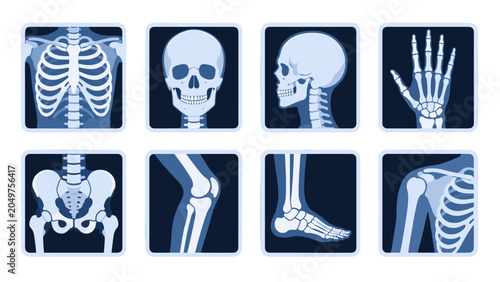 Fotografie Set of human skeleton xray icons with skull, hand, pelvis and joints